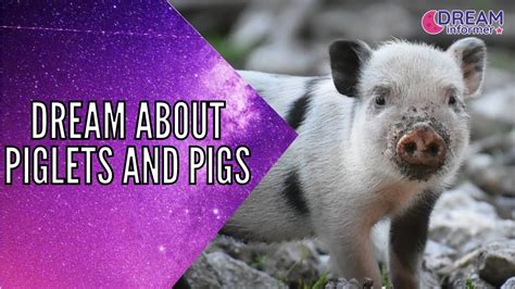 The Symbolic Significance of Dreamt Piglets