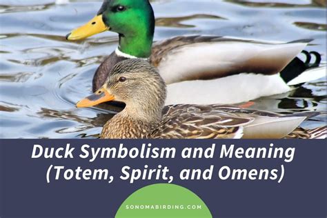 The Symbolic Significance of Ducks in Dreams