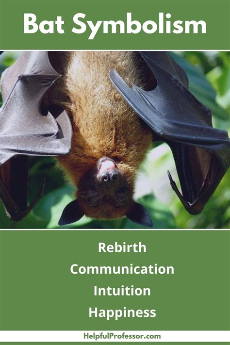 The Symbolic Significance of Encountering a Bat in Your Dream