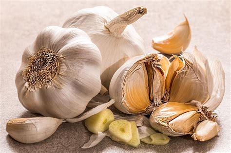 The Symbolic Significance of Garlic Abundance in Women's Dreams