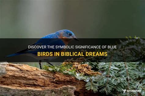 The Symbolic Significance of Nocturnal Bird in One's Dreams