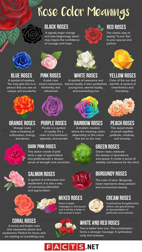 The Symbolic Significance of Roses Throughout the Ages