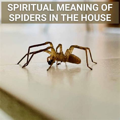 The Symbolic Significance of Spider Dream Interpretations