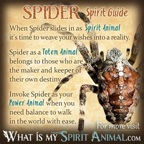 The Symbolic Significance of Spiders in Jungian Psychology