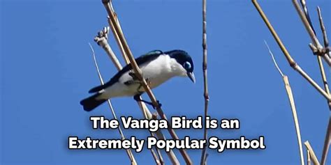 The Symbolic Significance of Vanga's Enigmatic Vision