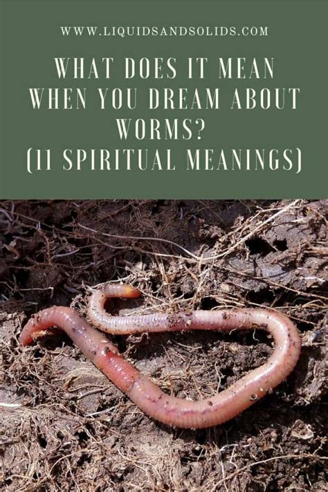 The Symbolic Significance of Worms in Dream Interpretation