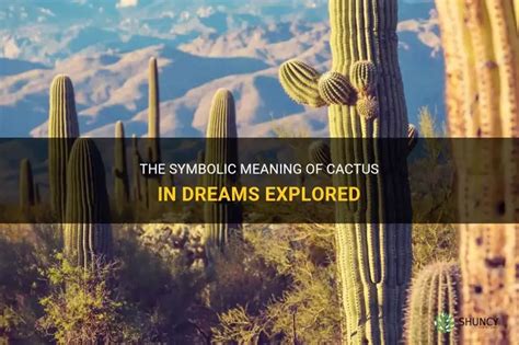 The Symbolic Significance of a Cactus in the Dream of a Woman