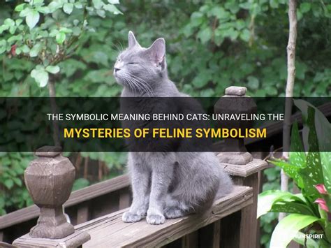 The Symbolic Significance of a Feline accompanied by Offspring in a Vision