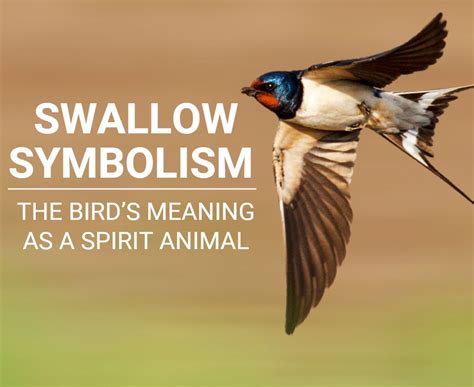 The Symbolic Significance of a Gentle Bird in the Realm of Dreams