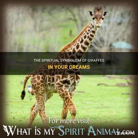 The Symbolic Significance of a Giraffe in Your Dream