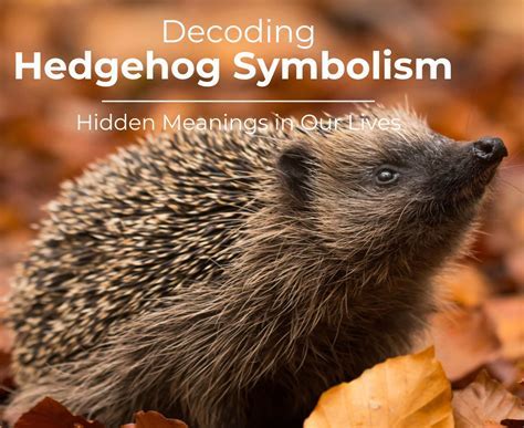 The Symbolic Significance of a Hedgehog in Dream Interpretation: Decoding its Hidden Meanings