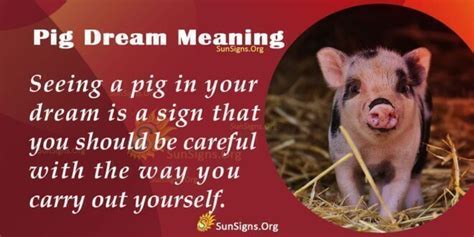 The Symbolic Significance of a Piglet in a Dream