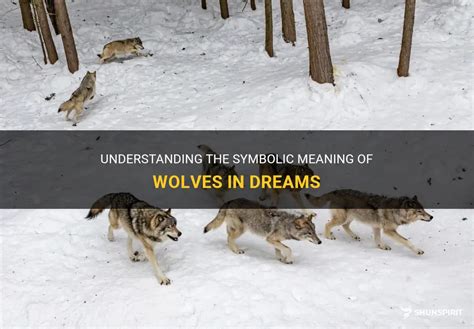 The Symbolic Significance of a Wolf Assault in a Dream