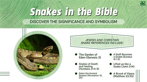 The Symbolic Significance of an Encountered Serpent's Aggression within a Reverie