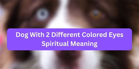 The Symbolic Significance of an Expressive Canine in Your Vision