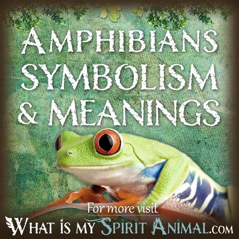 The Symbolic Significance of the Amphibian in Islamic Culture