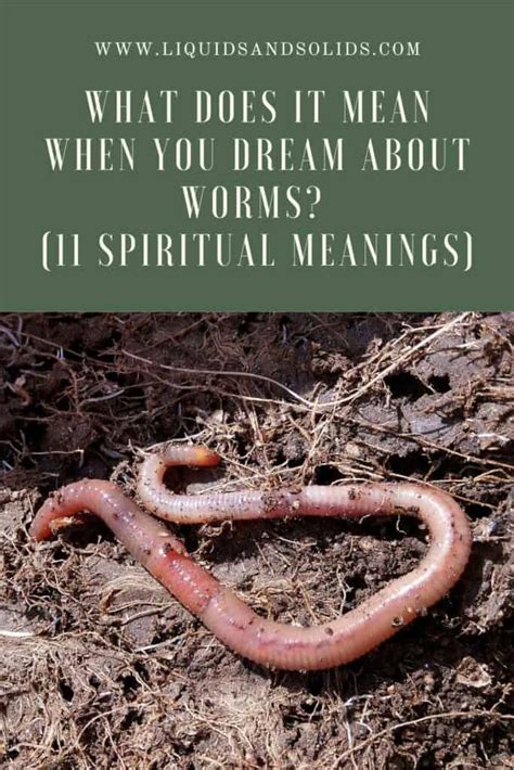 The Symbolism Behind Worms in Dreams