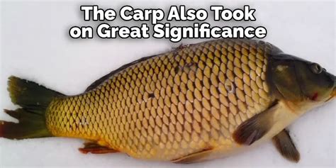 The Symbolism and Meaning of Carp in Dreams