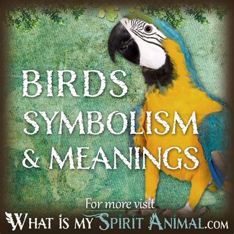 The Symbolism of Avian Creatures in Dreamland