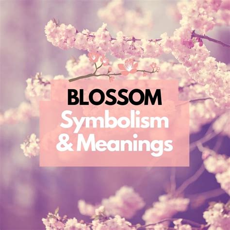 The Symbolism of Blossoms in Tribute to the Departed