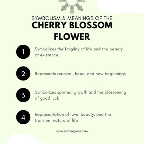 The Symbolism of Blossoms in a Lady's Journey