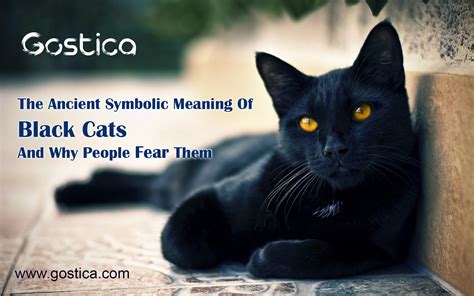 The Symbolism of Ebony Felines in Diverse Cultures
