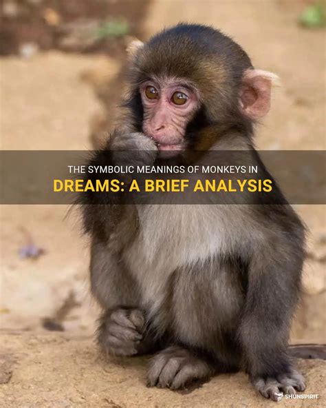 The Symbolism of Monkeys in Dreams