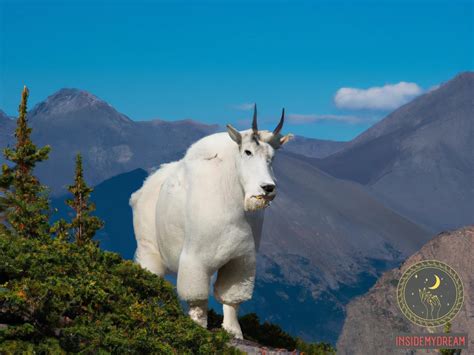 The Symbolism of Mountain Goats in Dreams