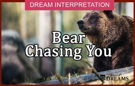 The Symbolism of a Bear Chase in Dreams