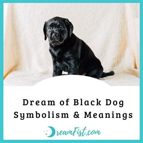 The Symbolism of a Dark Canine in Dreams