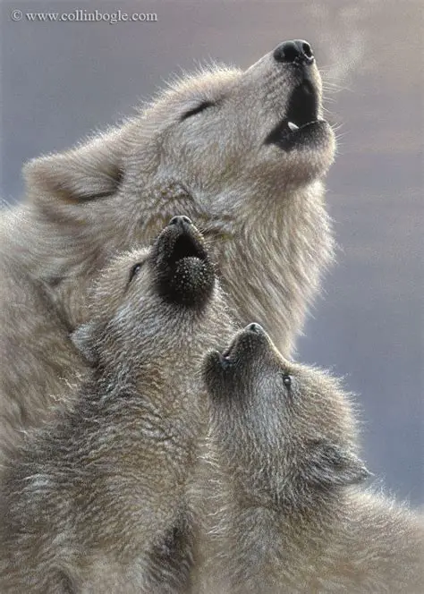 The Symbolism of a Mother Wolf and Her Offspring in a Vision