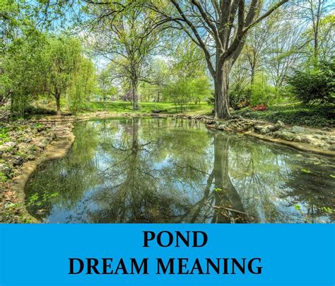 The Symbolism of a Pond in Dreams