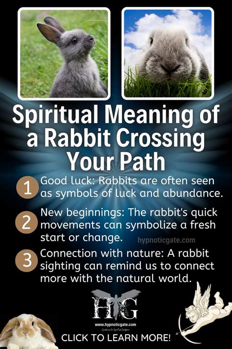 The Symbolism of a Rabbit Crossing Your Path in a Dream