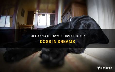 The Symbolism of an Infected Canine in Dreams