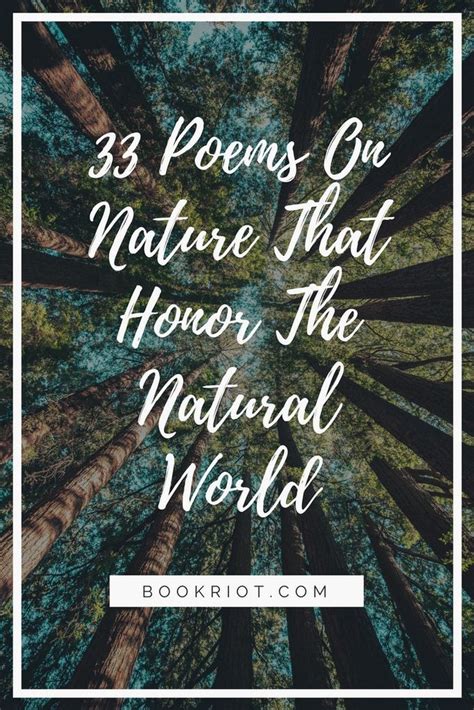 The Theme of Nature Explored in the Poem: A Profound Connection with the Natural World