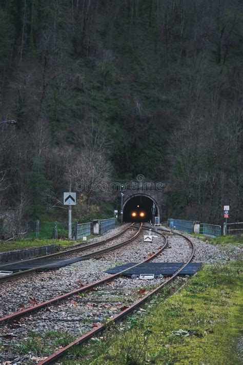 The Thrill of Exploration and Liberation that Train Reveries Symbolize