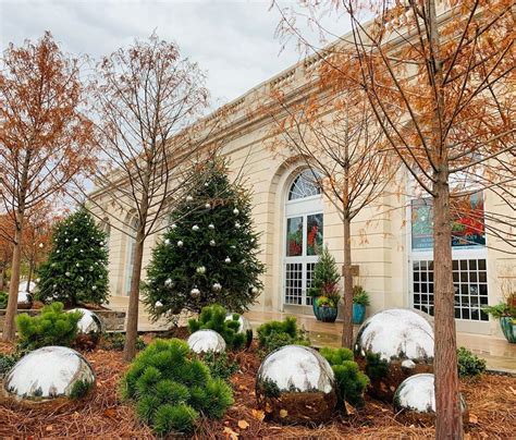 The Tradition of Festively Adorning Evergreens