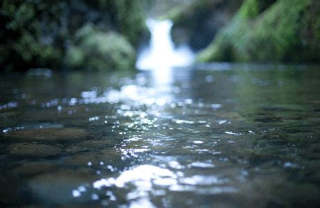 The Tranquility of Immersing in a Peaceful Body of Water