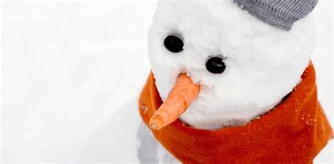 The Unexpected Allure of a Carrot Nose