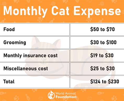 The Unforeseen Expenses of Owning an Aspirational Kitty