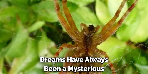 The Unique Significance of a Mysterious Obsidian Arachnid in Dreams