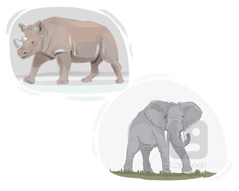 The Unique Symbolism of a Infant Pachyderm in Dreams