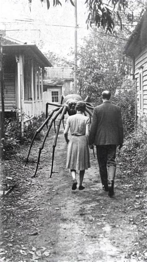 The Unsettling Nightmare: A Giant Spider