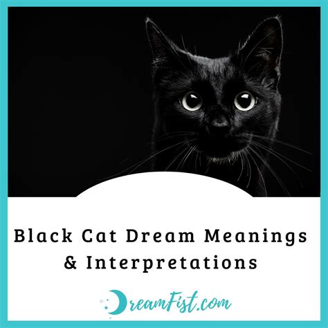 The Unusual Symbolism of an Ebony Feline in Dreams