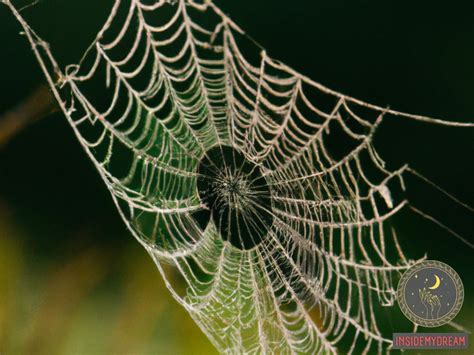 The Web of Symbolism: Unraveling the Meanings of Spider Webs in Dream Analysis