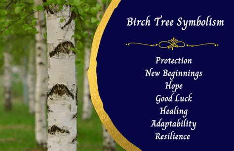 The birch tree as a symbol of tenacity in the realm of dreams