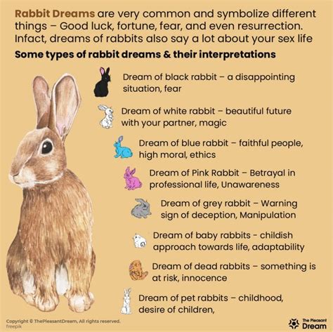 The meaning of a deceased rabbit in dreams