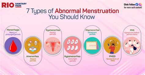 The potential causes of excessive menstrual flow