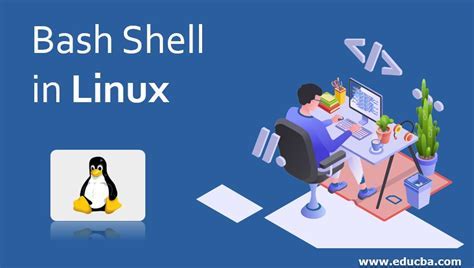 The process of setting up the Bash shell on a Linux-based operating system