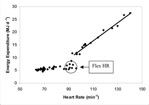 The significance of heart rate monitoring in tracking energy expenditure